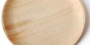 Biodegradable Areca Leaf Plate