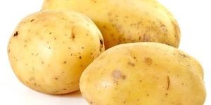 Fresh Brown Potato