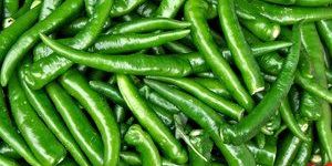 Fresh Green Chilli