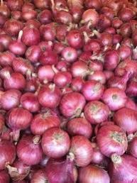 Fresh Natural Onion