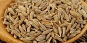 Natrual Cumin Seeds