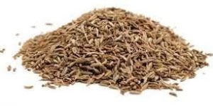 Organic Cumin Seeds