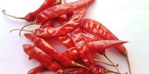 Stemmed Dried Red Chilli