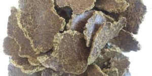 Fresh Cottonseed Oil Cake