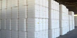 White Cotton Bales