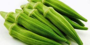 Organic Okra