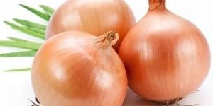 Organic Onion
