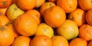 Organic Orange