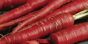 Red Carrot