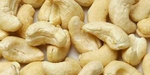 Processed Cashew Nuts