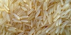 1509 Golden Sella Basmati Rice