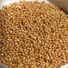 Barnyard Millet Seeds