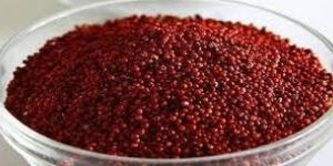 Indian Finger Millet