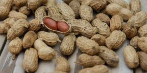 Shelled Groundnuts