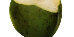 Green Tender Coconut