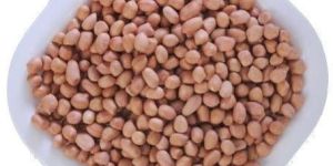 Groundnut Seeds