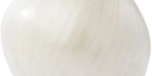 Fresh White Onion