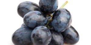India Black Grapes