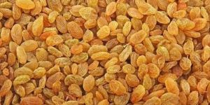 Sweet Seedless Raisins