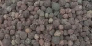 Natural Dry Amla with Seed