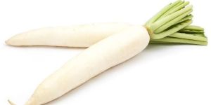 Fresh Radish