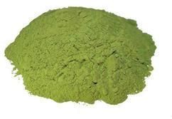 Stevia Powder