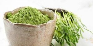 Wheat Grass Powder