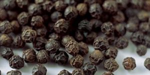 Black Pepper