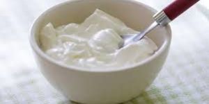 Plain Curd