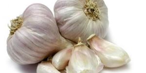 Indian Fresh Garlic