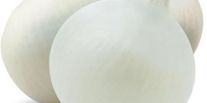 Sweet White Onion