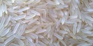 White Basmati Rice