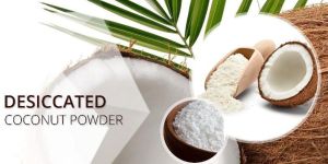 Desiccated Coconut Powder