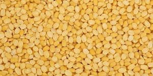 Yellow Moong Dal