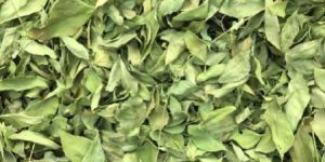 Dry Curry Leaves