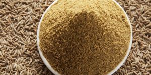 Premium Cumin Powder