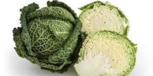 Fresh Cabbage