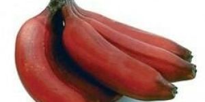 Red Banana