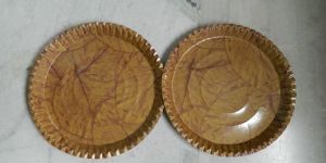 Disposable Paper Plates