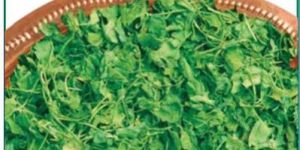 Classic Kasuri Methi