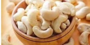 Fresh Cashew Nuts