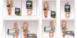 Dynamometers with Removable Displays