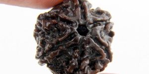 Rudraksha Beads