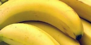 Fresh Raw Banana