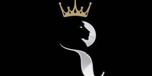 Logos Designing