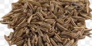 Cumin Seed