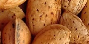 Kashmiri Almonds