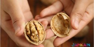 Paper Shell Walnuts