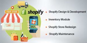 Shopify Web Development Services