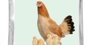 ADDZYME FS - Multi enzyme Feed Supplement